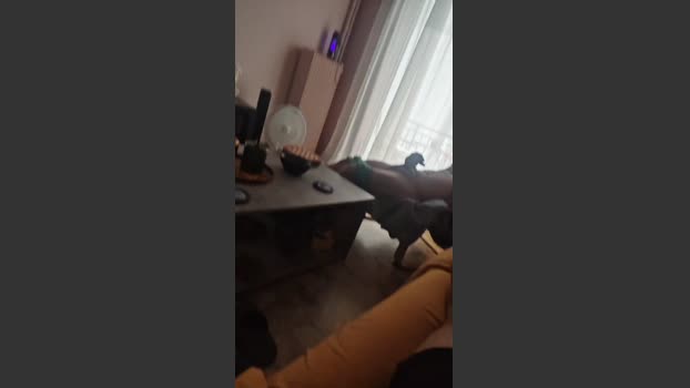 sexgreekfree ass Webcam SHOW @ Cam4 04-09-2025