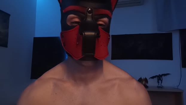 Frabroker bicurious Webcam SHOW @ Cam4 08-09-2025