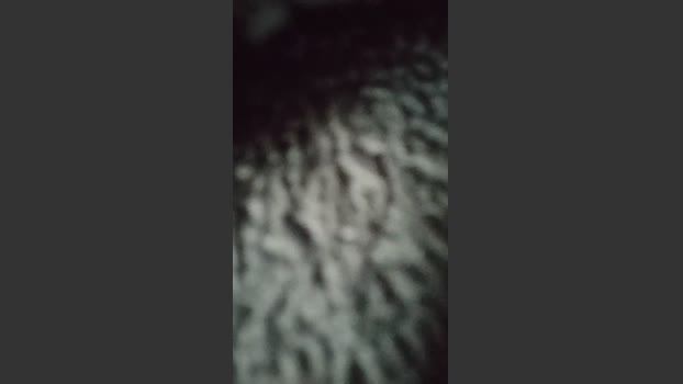 JimsuiXXX amateur Webcam SHOW @ Cam4 10-09-2025
