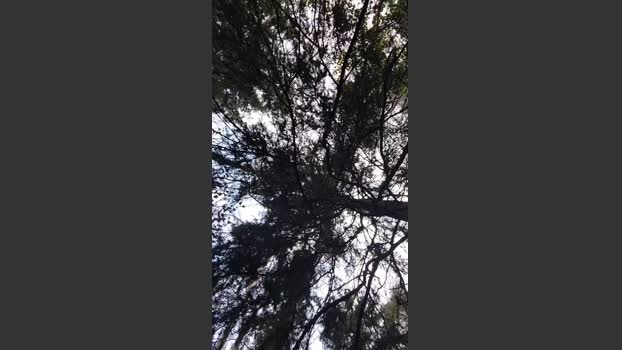 abcd34 analsex Webcam SHOW @ Cam4 09-09-2025