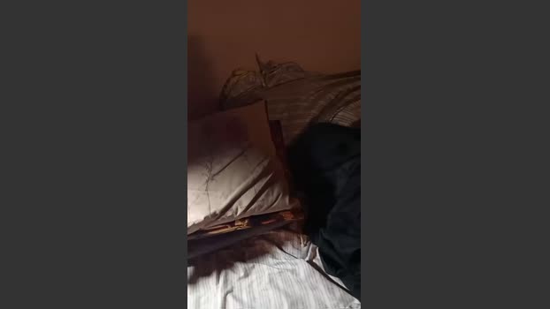 leonsexually bigtoys Webcam SHOW @ Cam4 10-09-2025