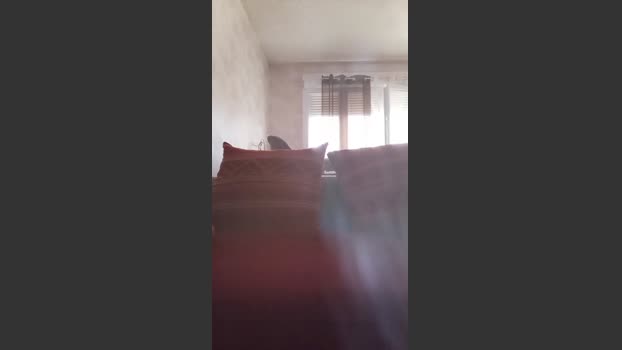Willychaud hard Webcam SHOW @ Cam4 11-09-2025