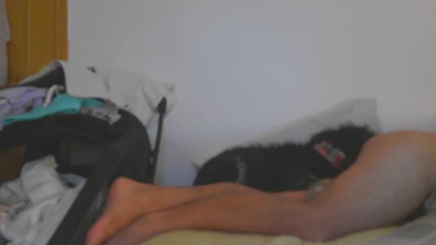 rafabr91 oral Webcam SHOW @ Cam4 12-09-2025