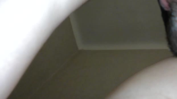 Librelaurent kinky Webcam SHOW @ Cam4 12-09-2025