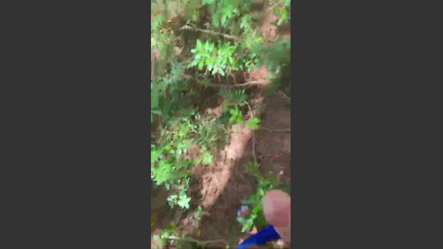elmissimo gay Webcam SHOW @ Cam4 14-09-2025