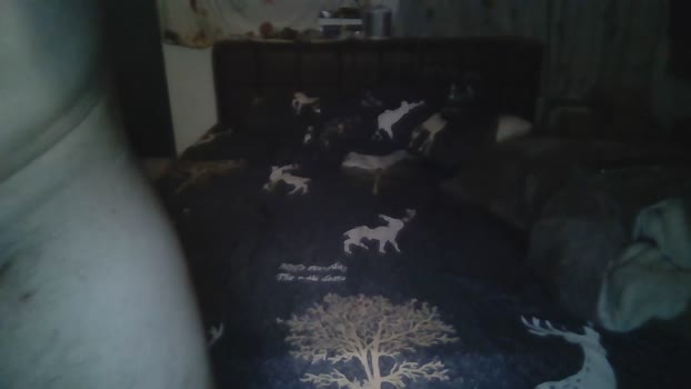 kktung sexymale Webcam SHOW @ Cam4 14-09-2025
