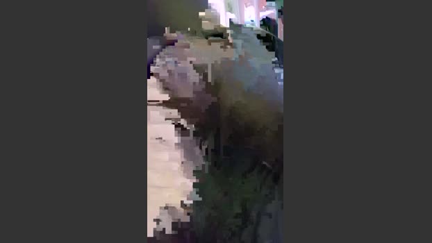 Adritoledo