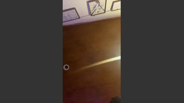 alvzky yummy Webcam SHOW @ Cam4 16-09-2025