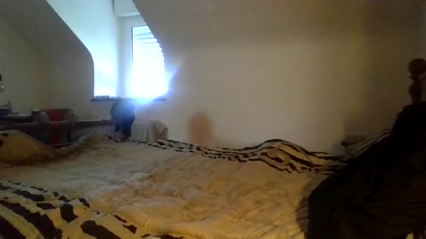 Man_for_man69 Webcam Webcam SHOW @ Cam4 17-09-2025
