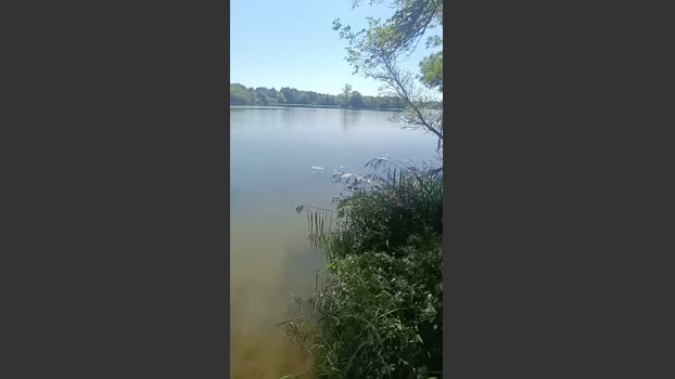 Miridjy suckcock Webcam SHOW @ Cam4 18-09-2025