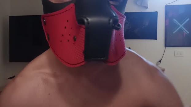 Frabroker Show Webcam SHOW @ Cam4 18-09-2025