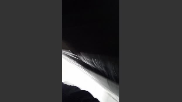 Asasass playtime Webcam SHOW @ Cam4 21-09-2025