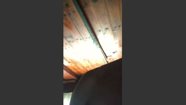 Bdsmdrake suckshow Webcam SHOW @ Cam4 23-09-2025