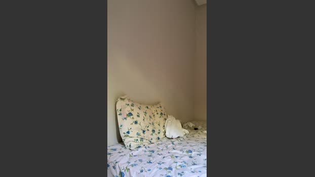 lopeshotz analtoy Webcam SHOW @ Cam4 22-09-2025