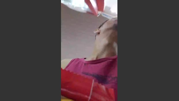 victor62Go sweet Webcam SHOW @ Cam4 28-09-2025