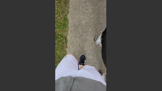 tomsauwer orgasm Webcam SHOW @ Cam4 01-10-2025