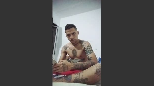 SoloTintaX66T