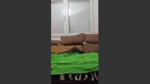 Instar toy Webcam SHOW @ Cam4 05-10-2025