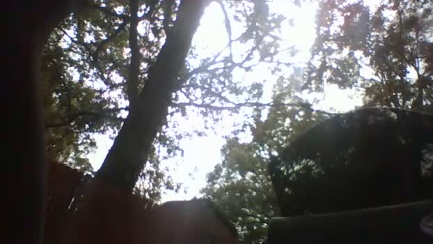 Littleguy25 analsex Webcam SHOW @ Cam4 06-10-2025