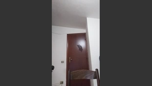 casertaxxx jerkoff Webcam SHOW @ Cam4 09-10-2025