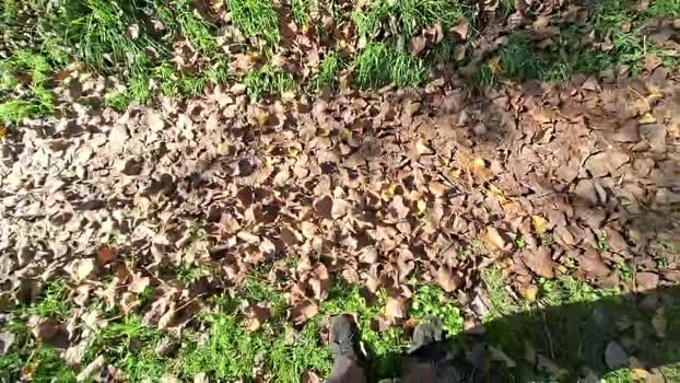 remi06 gay Webcam SHOW @ Cam4 12-10-2025