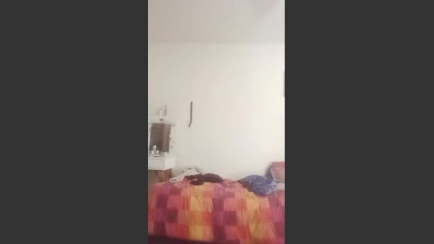 Wolfplayer21