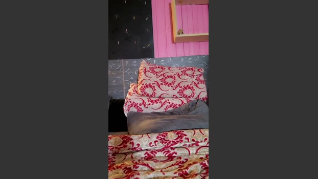 dotado23cm_hot sex Webcam SHOW @ Cam4 17-10-2025
