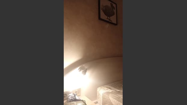 elle78lui wank Webcam SHOW @ Cam4 19-10-2025