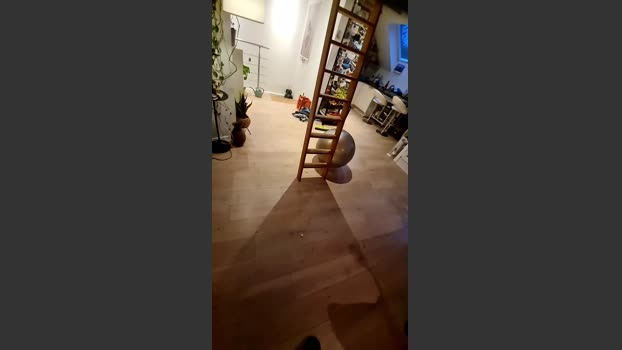 misterman244 bigdick Webcam SHOW @ Cam4 24-10-2025