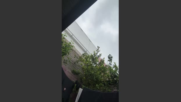 Alejaja