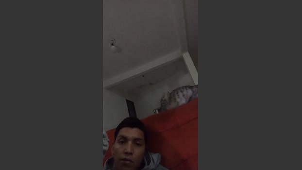 Babynoah99