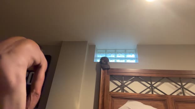 StudlyHardwood suckshow Webcam SHOW @ Cam4 25-10-2025
