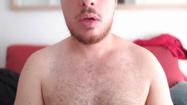 Auburn_beard