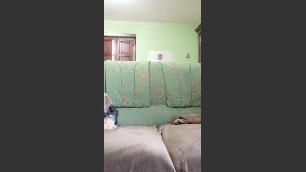 Pareja8986 orgasm Webcam SHOW @ Cam4 29-10-2025