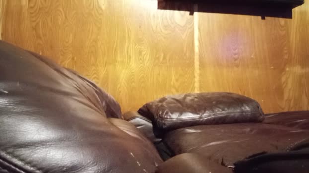 Landongray1982 bigcock Webcam SHOW @ Cam4 31-10-2025