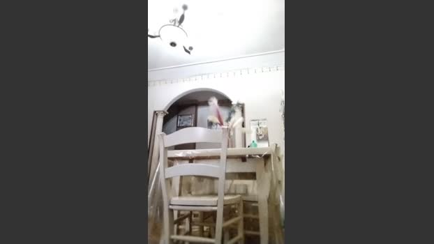 vinci862 hardcock Webcam SHOW @ Cam4 01-11-2025