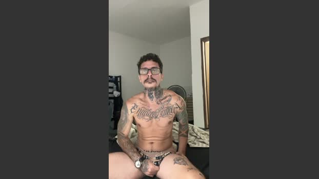 Checkmatte43 Show Webcam SHOW @ Cam4 03-11-2025