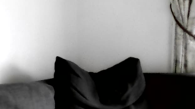Mario84Luci handsome Webcam SHOW @ Cam4 04-11-2025
