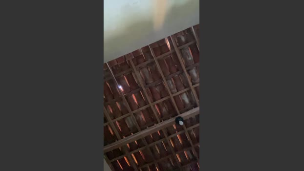 Spiderfindom playtime Webcam SHOW @ Cam4 03-11-2025