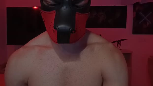 Frabroker natural Webcam SHOW @ Cam4 05-11-2025