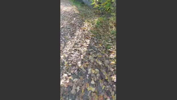 pandarosso1 hard Webcam SHOW @ Cam4 06-11-2025