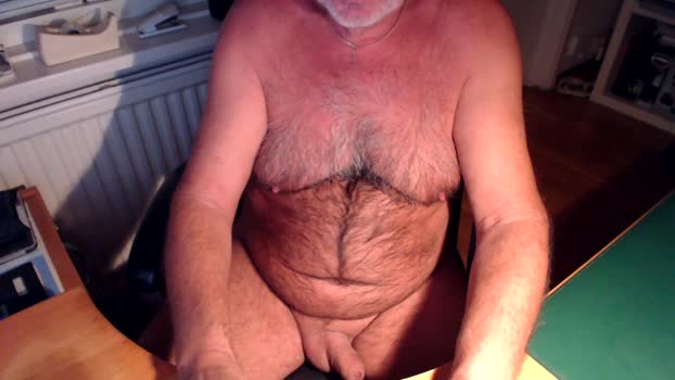 teddybare hard Webcam SHOW @ Cam4 08-11-2025