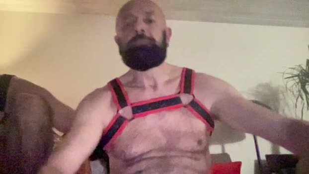 DarksPIGS Video Webcam SHOW @ Cam4 09-11-2025