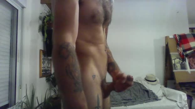 catdre show Webcam SHOW @ Cam4 11-11-2025
