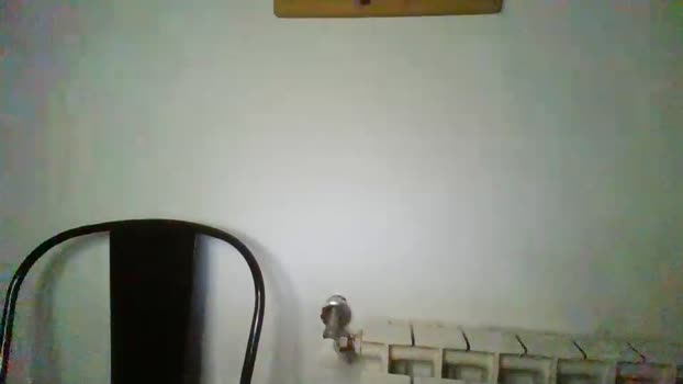 emboladoando love Webcam SHOW @ Cam4 13-11-2025
