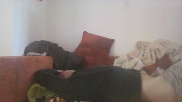 Littleguy25 lush Webcam SHOW @ Cam4 14-11-2025