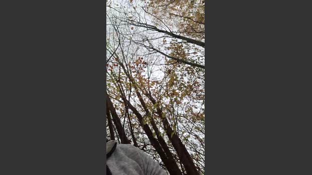 Socke72 blowjob Webcam SHOW @ Cam4 15-11-2025