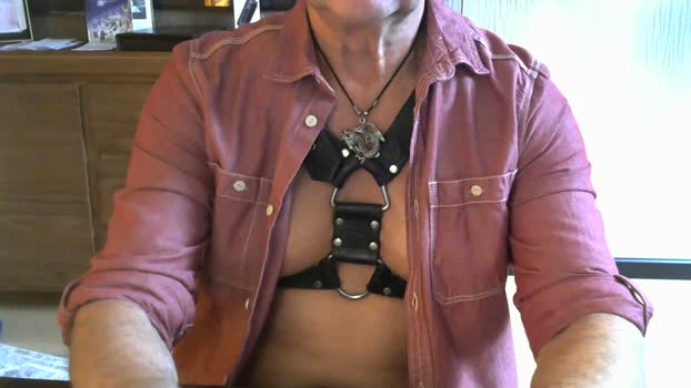 Longdorn big Webcam SHOW @ Cam4 16-11-2025