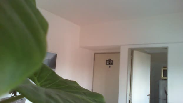 p_arg1986 handsome Webcam SHOW @ Cam4 16-11-2025