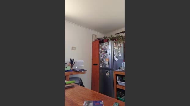 VecinoChileno fuckface Webcam SHOW @ Cam4 18-11-2025